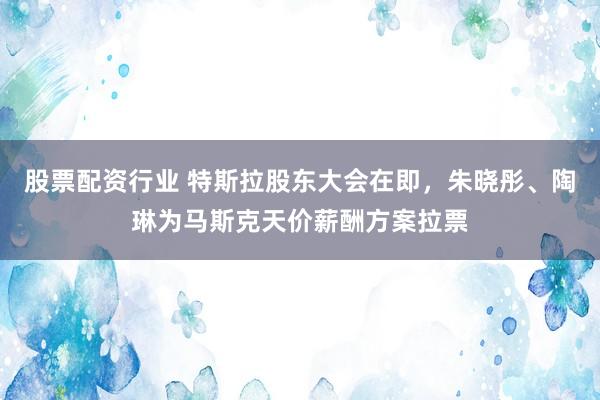 股票配资行业 特斯拉股东大会在即，朱晓彤、陶琳为马斯克天价薪酬方案拉票